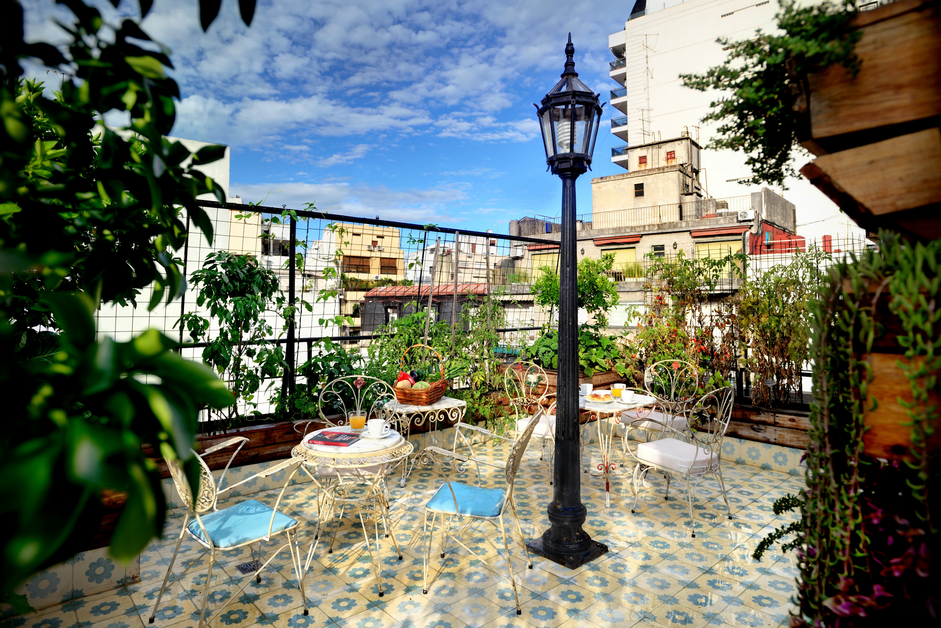 Our Oasis